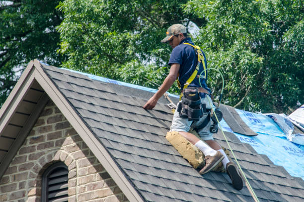 Roof Gutter Cleaning in Clinton, NY